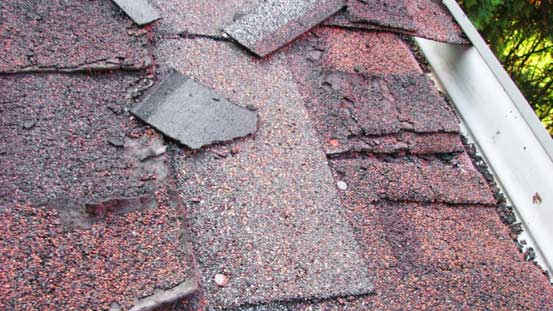Deteriorated and loose shingles