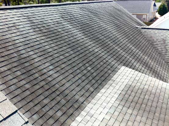 Roof algae stains